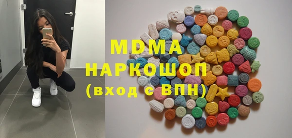 индика Краснослободск