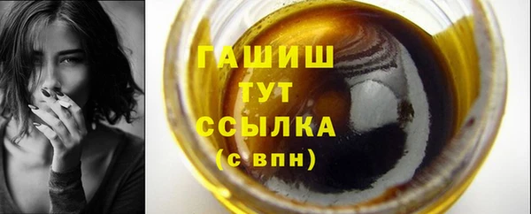 индика Краснослободск