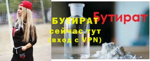 индика Краснослободск