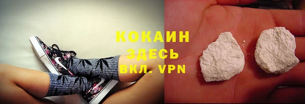 индика Краснослободск