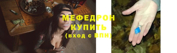 индика Краснослободск