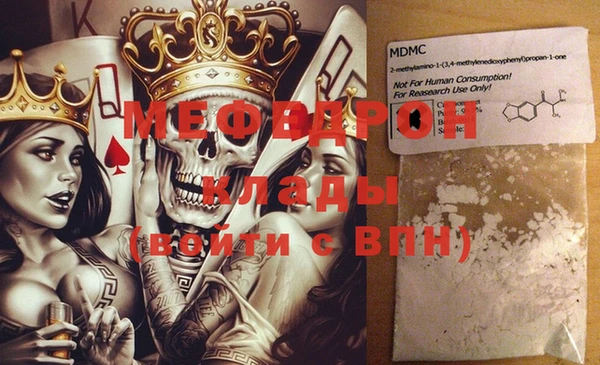 индика Краснослободск