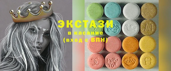индика Краснослободск
