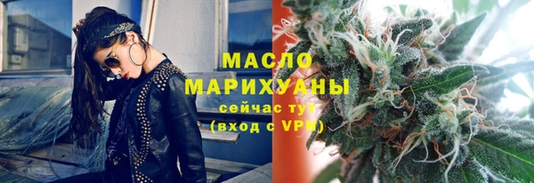 индика Краснослободск