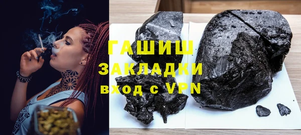 индика Краснослободск