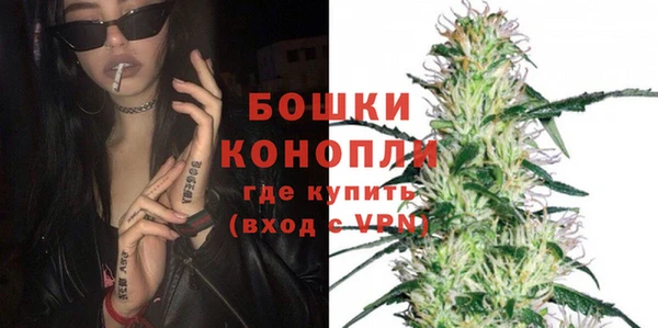 индика Краснослободск