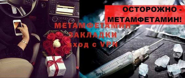 индика Краснослободск