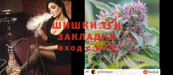 индика Краснослободск