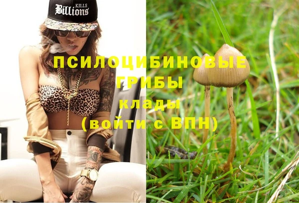 индика Краснослободск
