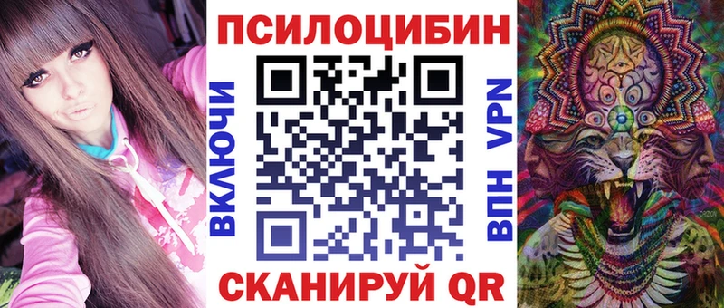 Купить закладки  Баксан  Псилоцибиновые грибы GOLDEN TEACHER 