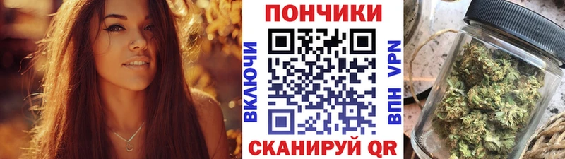 Купить закладки  Баксан  Бошки марихуана семена 